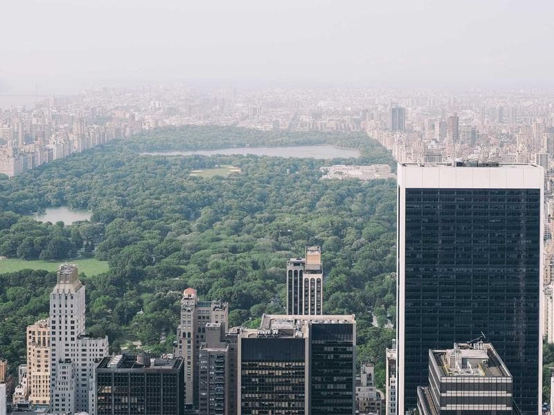 The Strategic Anatomy Behind Premium Brand Identities